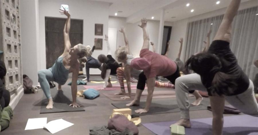 Yoga Baden bei Wien_Yogaunterricht Vinyasa 2016